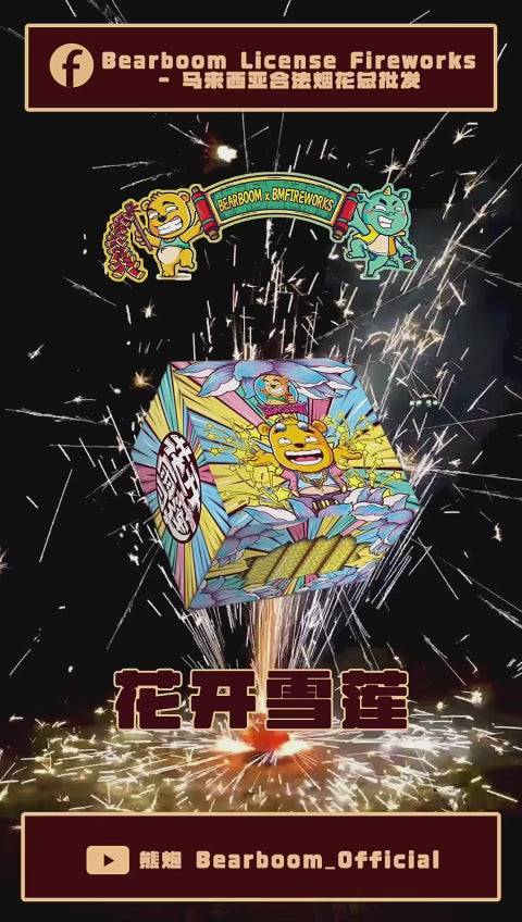 B117 | ⛲TAYCAN SPARKLE 花开雪莲