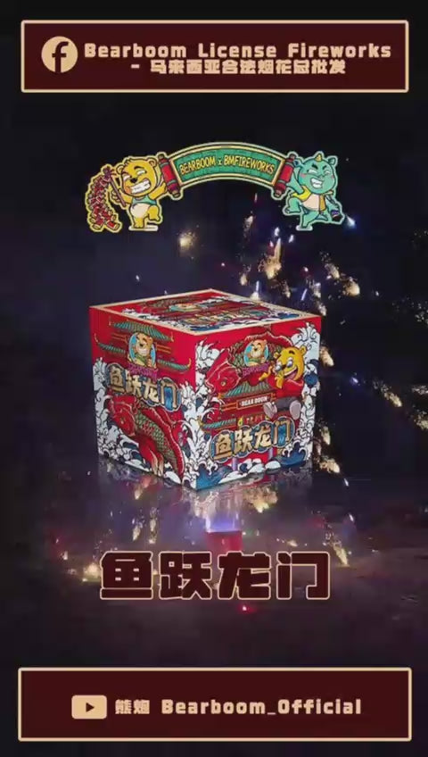 B115 | ⛲HAPPY GO LUCKY 鱼跃龙门