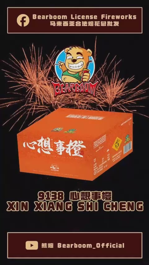 B902 | 9"138 SHOOT CAKE XIN XIANG SHI CHENG 9"138发 - 心想事橙